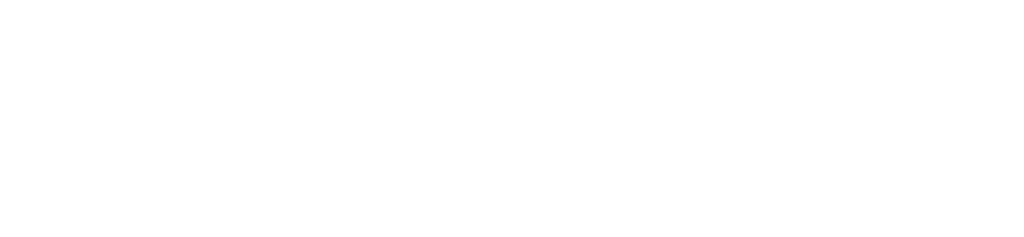Brickforce Logo - white